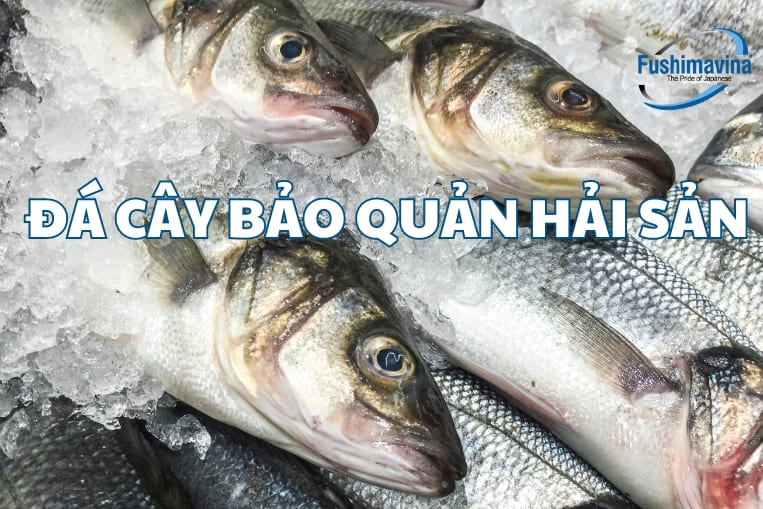 đá cây bảo quản hải sản