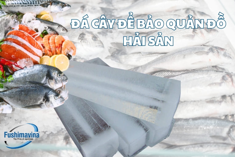 máy có thể cung cấp đá ướp lạnh hải sản