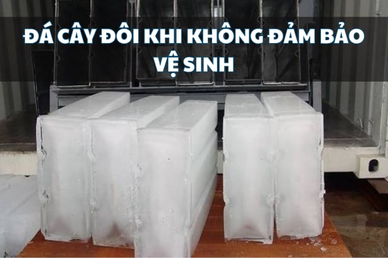 vệ sinh thực phẩm đá cây là điều lo ngại