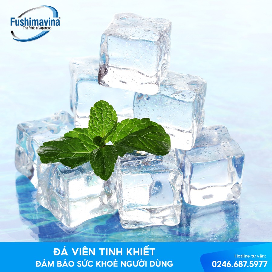 9898 Bài viết cung cấp cho bạn đọc 3 tiêu chí quản lý chất lượng nước đá