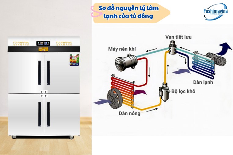 Nguyên lý làm lạnh của tủ đông