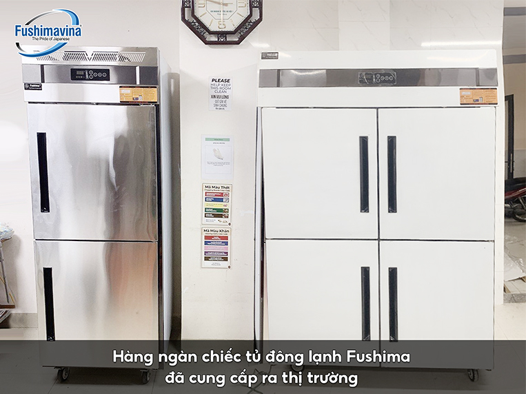 Nhìn chung tủ lạnh, tủ đông là những thiết bị hữu ích và vô cùng tiện lợi