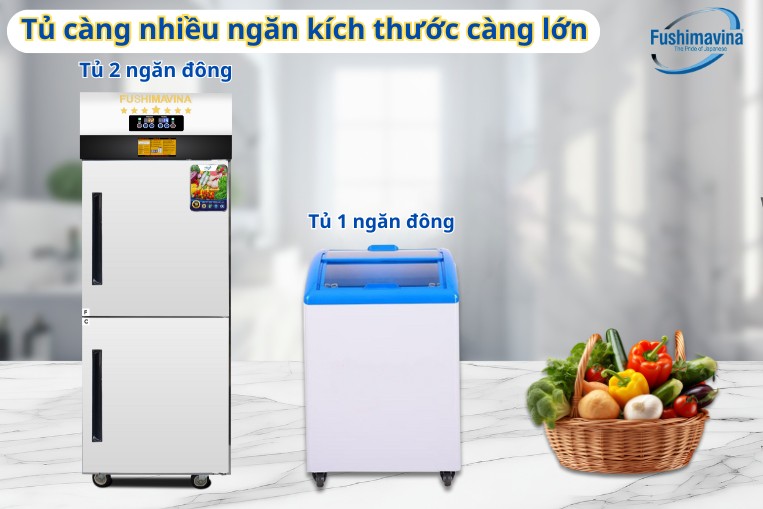 Kích thước của tủ đông phân theo số ngăn