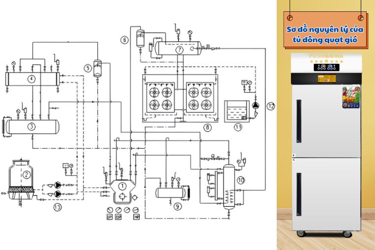 Nguyên lý cấp đông của tủ