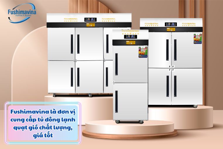 Fushimavina- đơn vị cung cấp tủ cấp đông gió chính hãng, giá rẻ