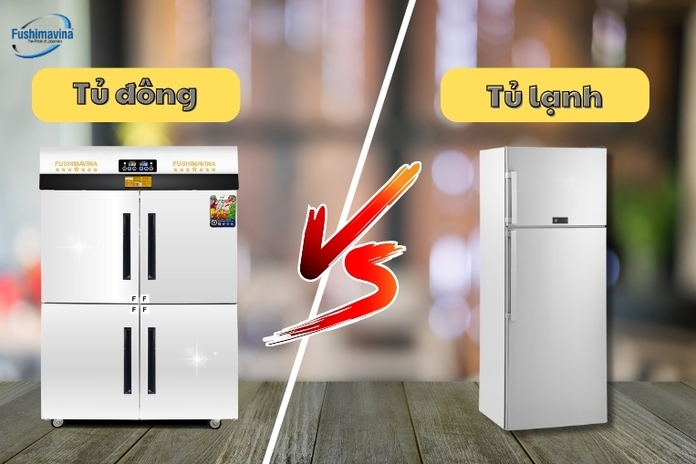 phân biệt sự khác nhau giữa tủ lạnh và tủ đông