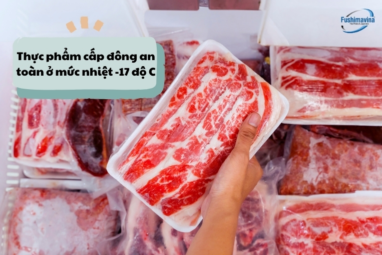 Trữ thực phẩm trong tủ đông có an toàn không?