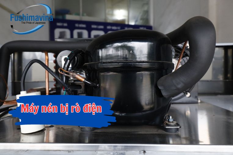 Do máy nén của tủ đông bị rò điện