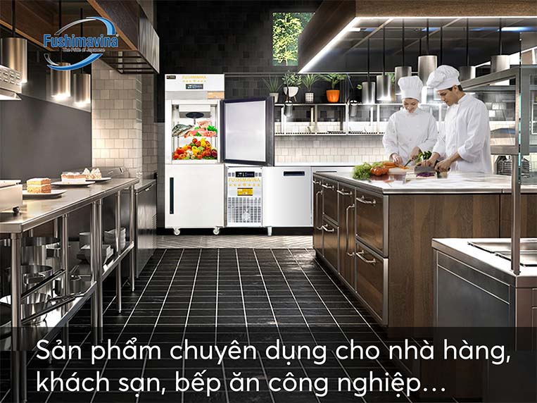 Mô hình kinh doanh nên sử dụng tủ đông inox 2 cánh Fushima