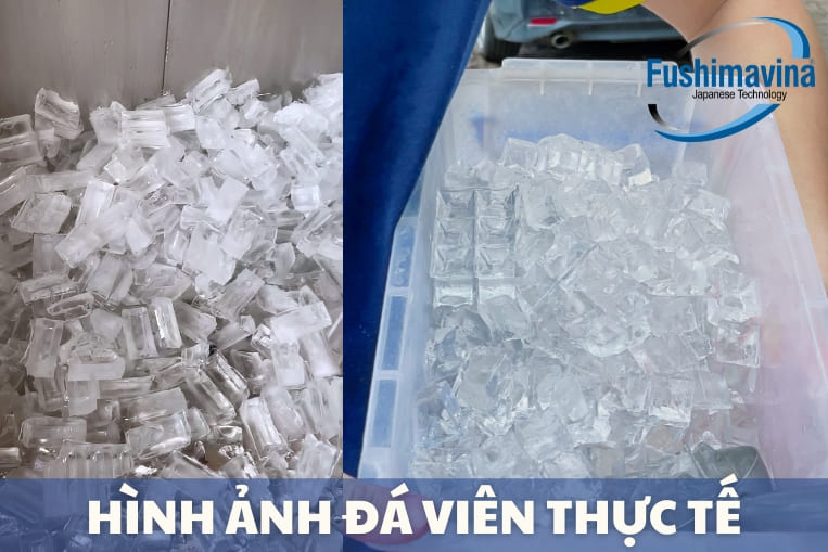đá viên thành phẩm