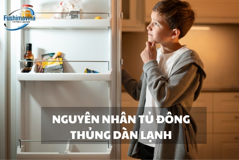 Nguyên nhân tủ đông bị thủng