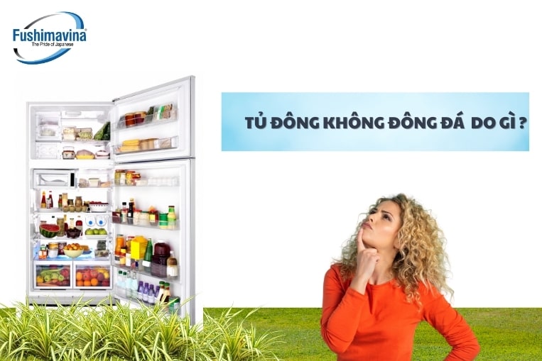 Lý do tủ không làm được đá