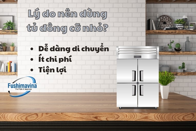 Lý do nên lựa chọn tủ đông loại nhỏ