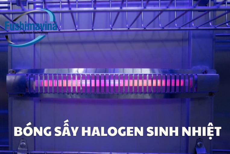 hệ thống bóng sấy Halogen hiệu quả